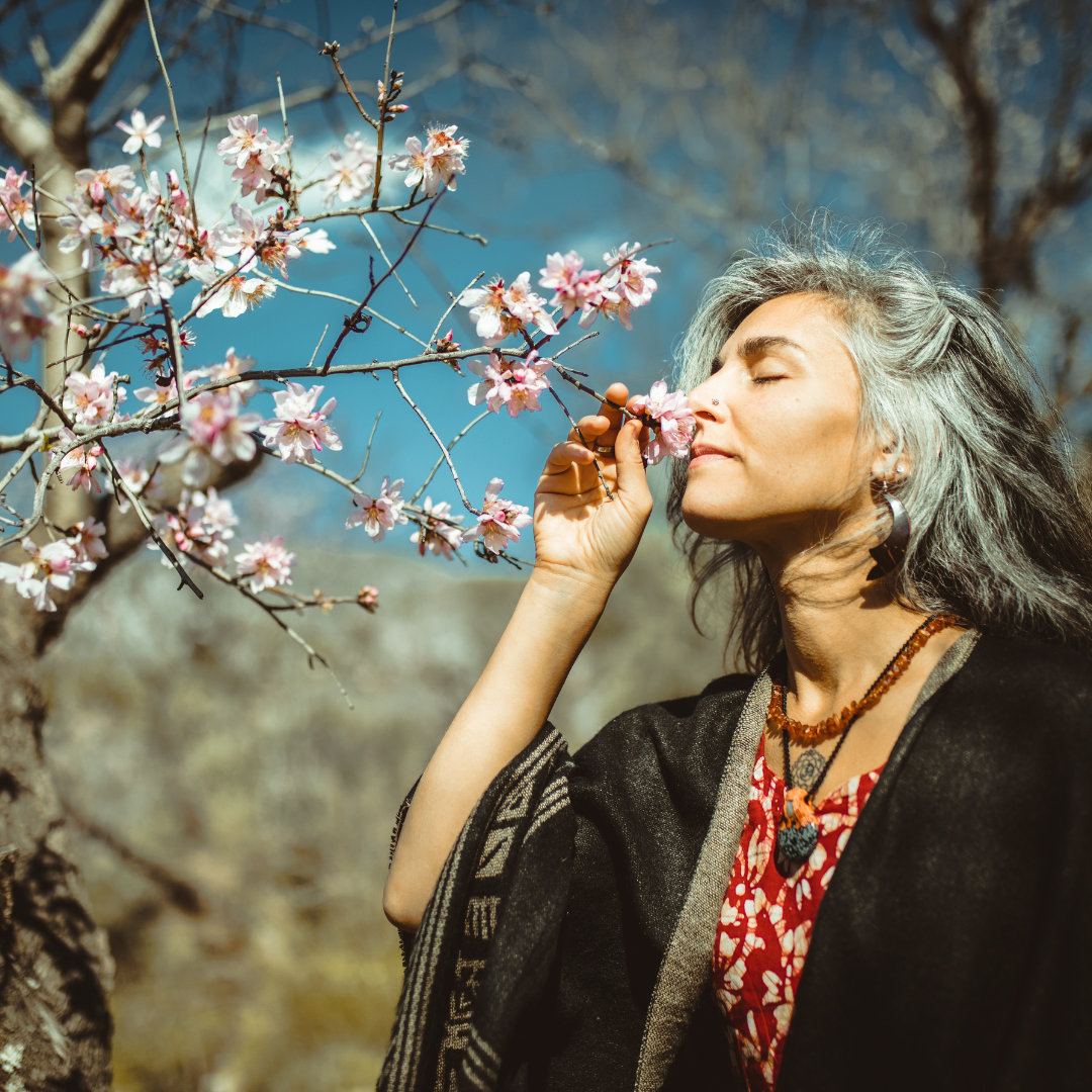 Wisdom Weaver Circle - Kreis für Frauen in den Wechseljahren - Natura ...